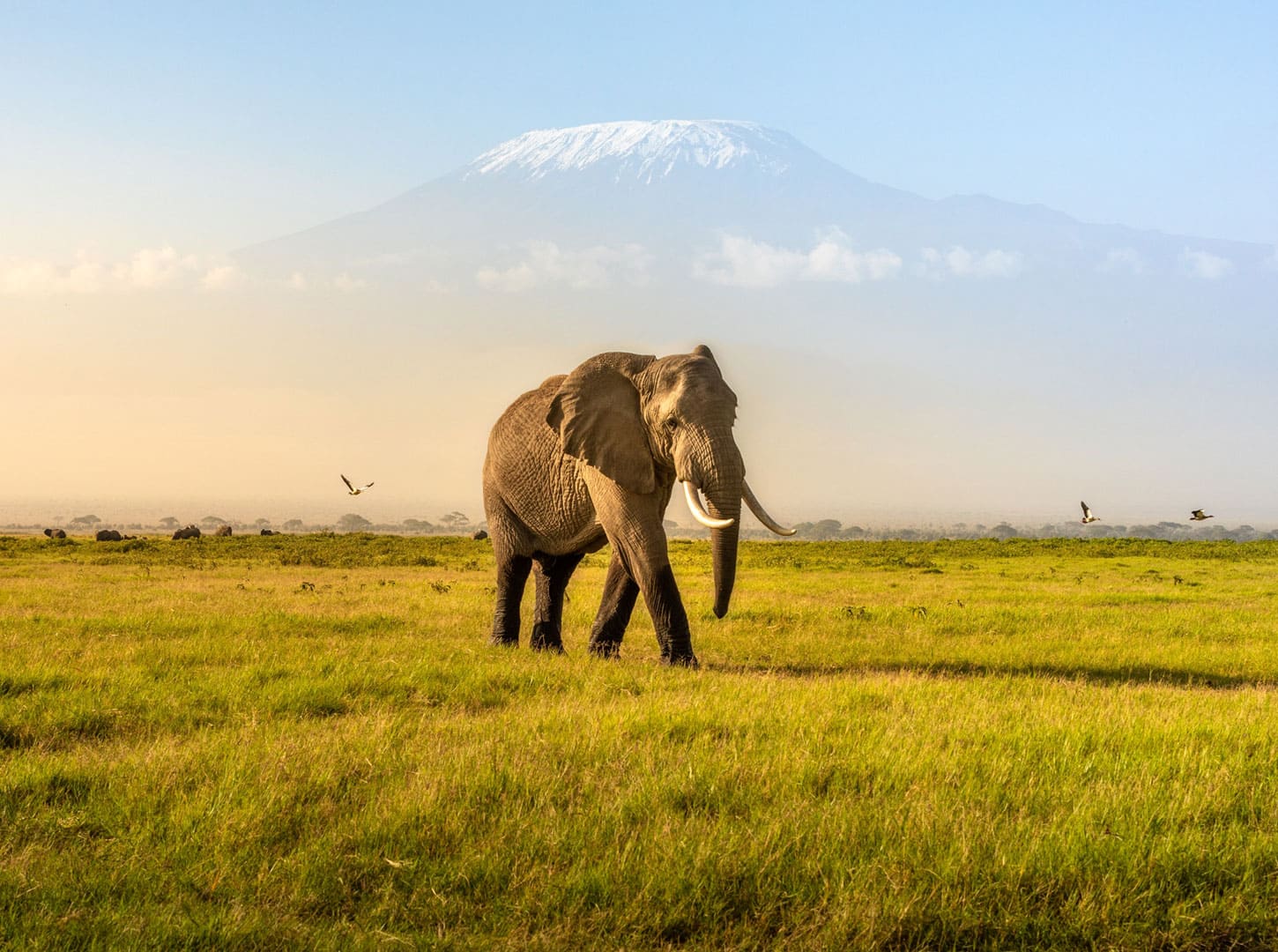 Your Must-See Guide to Kenya with Epitome Travel